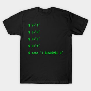 Terminal Commands With a Hidden Meaning T-Shirt